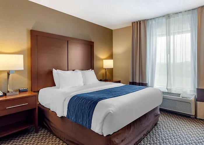 Pet Friendly hotel: Comfort Inn & Suites Blue Ridge